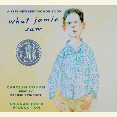 What Jamie Saw Audibook, by Carolyn Coman