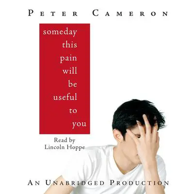 Someday This Pain Will Be Useful to You Audibook, by Peter Cameron