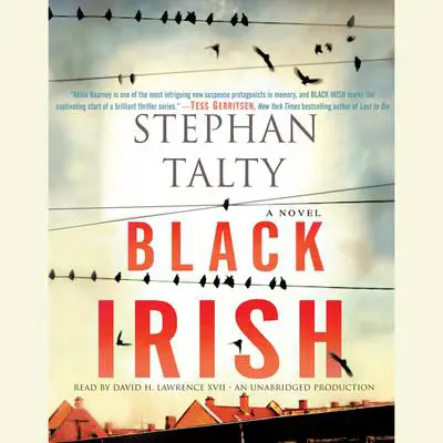 Black Irish: A Novel Audibook, by Stephan Talty