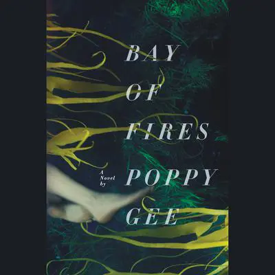 Bay of Fires: A Novel Audibook, by Poppy Gee
