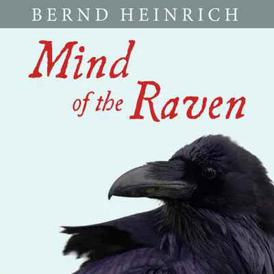Mind of the Raven: Investigations and Adventures with Wolf-Birds Audibook, by Bernd Heinrich