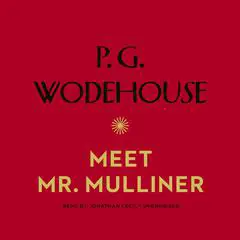 Meet Mr. Mulliner Audibook, by P. G. Wodehouse