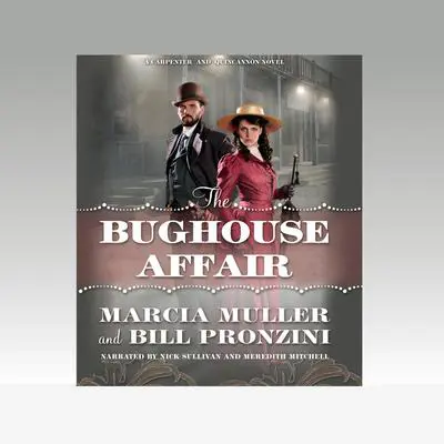 The Bughouse Affair Audibook, by Bill Pronzini