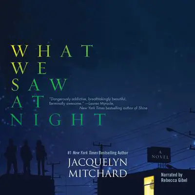 What We Saw at Night Audibook, by Jacquelyn Mitchard