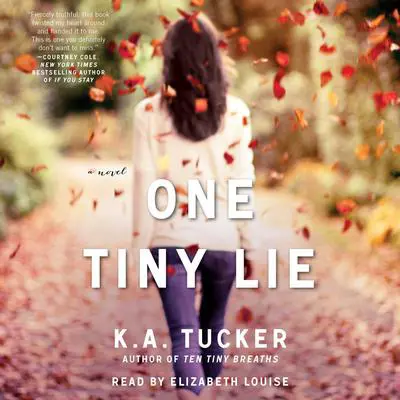 One Tiny Lie: A Novel Audibook, by K. A. Tucker