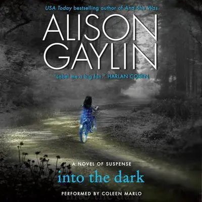 Into the Dark: A Novel of Suspense Audibook, by Alison Gaylin