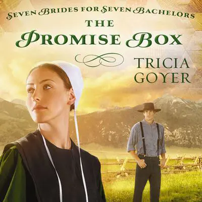 The Promise Box Audibook, by Tricia Goyer
