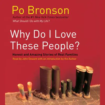 Why Do I Love These People?: Miracalous Journeys of Twenty-first Century Families Audibook, by Po Bronson