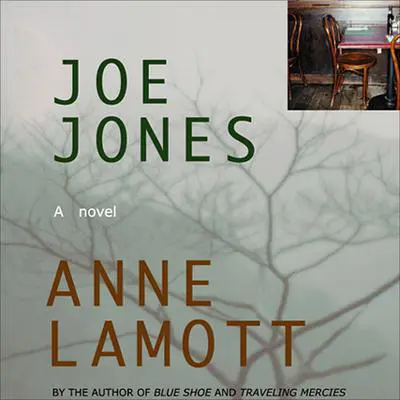 Joe Jones Audibook, by Anne Lamott