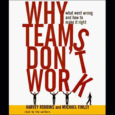 Why Teams Don't Work Audibook, by Harvey Robbins