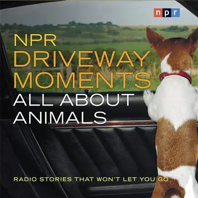 NPR Driveway Moments All About Animals: Radio Stories That Won't Let You Go Audibook, by NPR