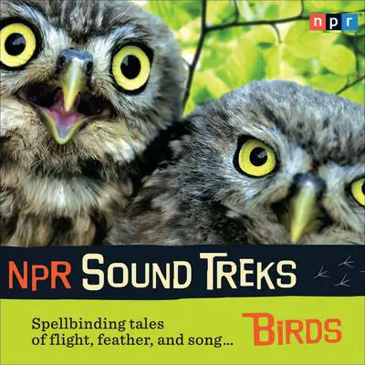 NPR Sound Treks: Birds: Spellbinding Tales of Flight, Feather, and Song Audibook, by NPR
