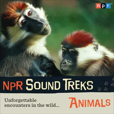 NPR Sound Treks: Animals: Unforgettable Encounters in the Wild Audibook, by NPR