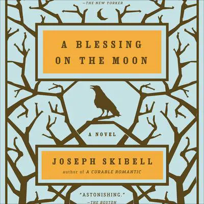A Blessing on the Moon Audibook, by Joseph Skibell