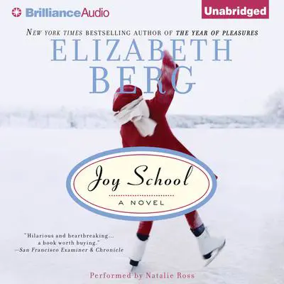 Joy School Audibook, by Elizabeth Berg