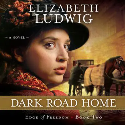 Dark Road Home Audibook, by Elizabeth Ludwig