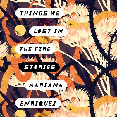 Things We Lost in the Fire: Stories Audibook, by Mariana Enriquez