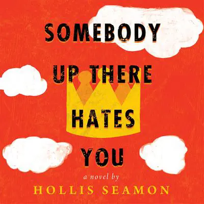 Somebody Up There Hates You Audibook, by Hollis Seamon