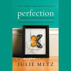 Perfection: A Memoir of Betrayal and Renewal Audibook, by Julie Metz