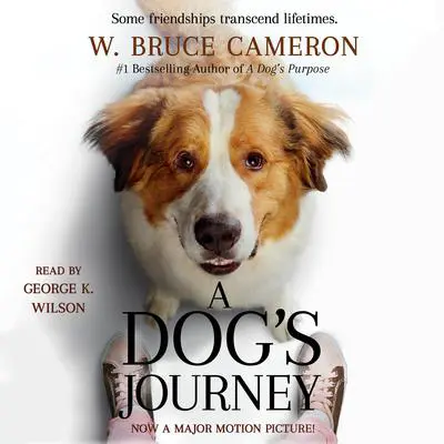 A Dog's Journey: A Novel Audibook, by W. Bruce Cameron