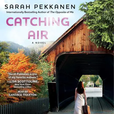 Catching Air: A Novel Audibook, by Sarah Pekkanen