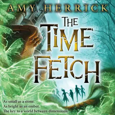 The Time Fetch Audibook, by Amy Herrick
