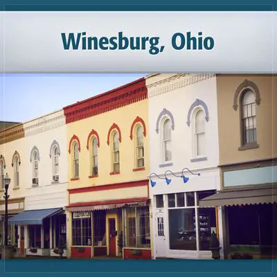 Winesburg, Ohio Audibook, by Sherwood Anderson