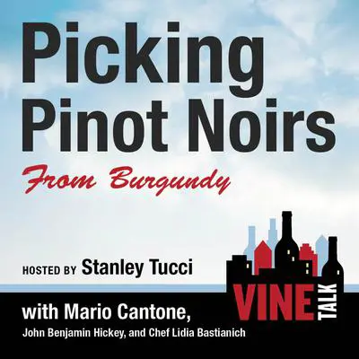 Picking Pinot Noirs from Burgundy: Vine Talk Episode 103 Audibook, by Vine Talk