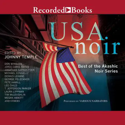 USA Noir: Best of the Akashic Noir Series Audibook, by various authors