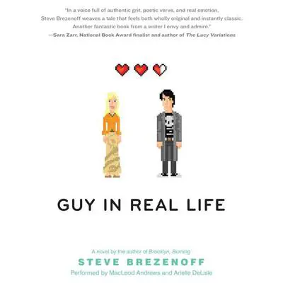 Guy in Real Life Audibook, by Steve Brezenoff