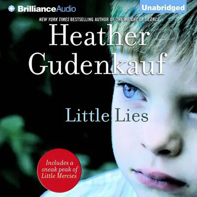 Little Lies Audibook, by Heather Gudenkauf