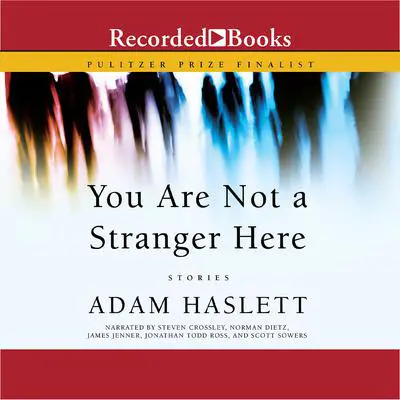 You Are Not A Stranger Here: Stories Audibook, by Adam Haslett