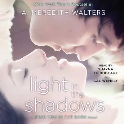 Light in the Shadows Audibook, by A. Meredith Walters