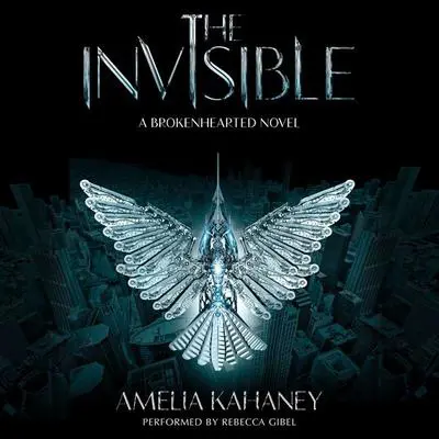 The Invisible Audibook, by Amelia Kahaney