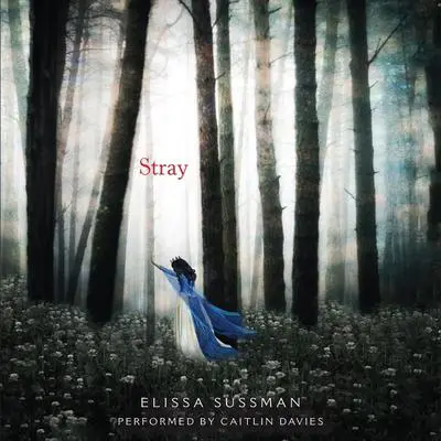 Stray Audibook, by Elissa Sussman
