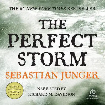 The Perfect Storm: A True Story of Men Against the Sea Audibook, by Sebastian Junger