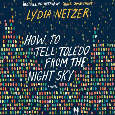 How to Tell Toledo from the Night Sky: A Novel Audibook, by Lydia Netzer