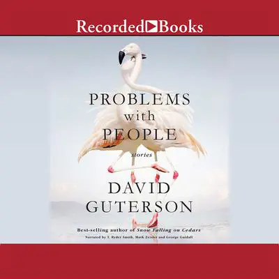 Problems with People: Stories Audibook, by David Guterson