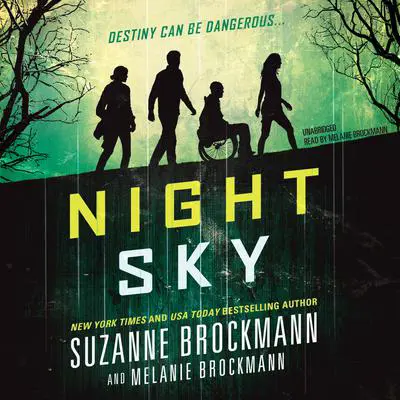 Night Sky Audibook, by Suzanne Brockmann