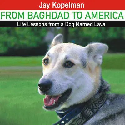 From Baghdad to America: Life Lessons from a Dog Named Lava Audibook, by Jay Kopelman