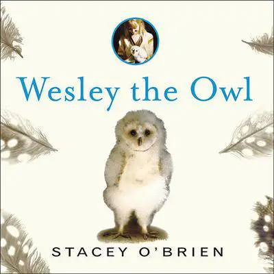 Wesley the Owl: The Remarkable Love Story of an Owl and His Girl Audibook, by Stacey O’Brien