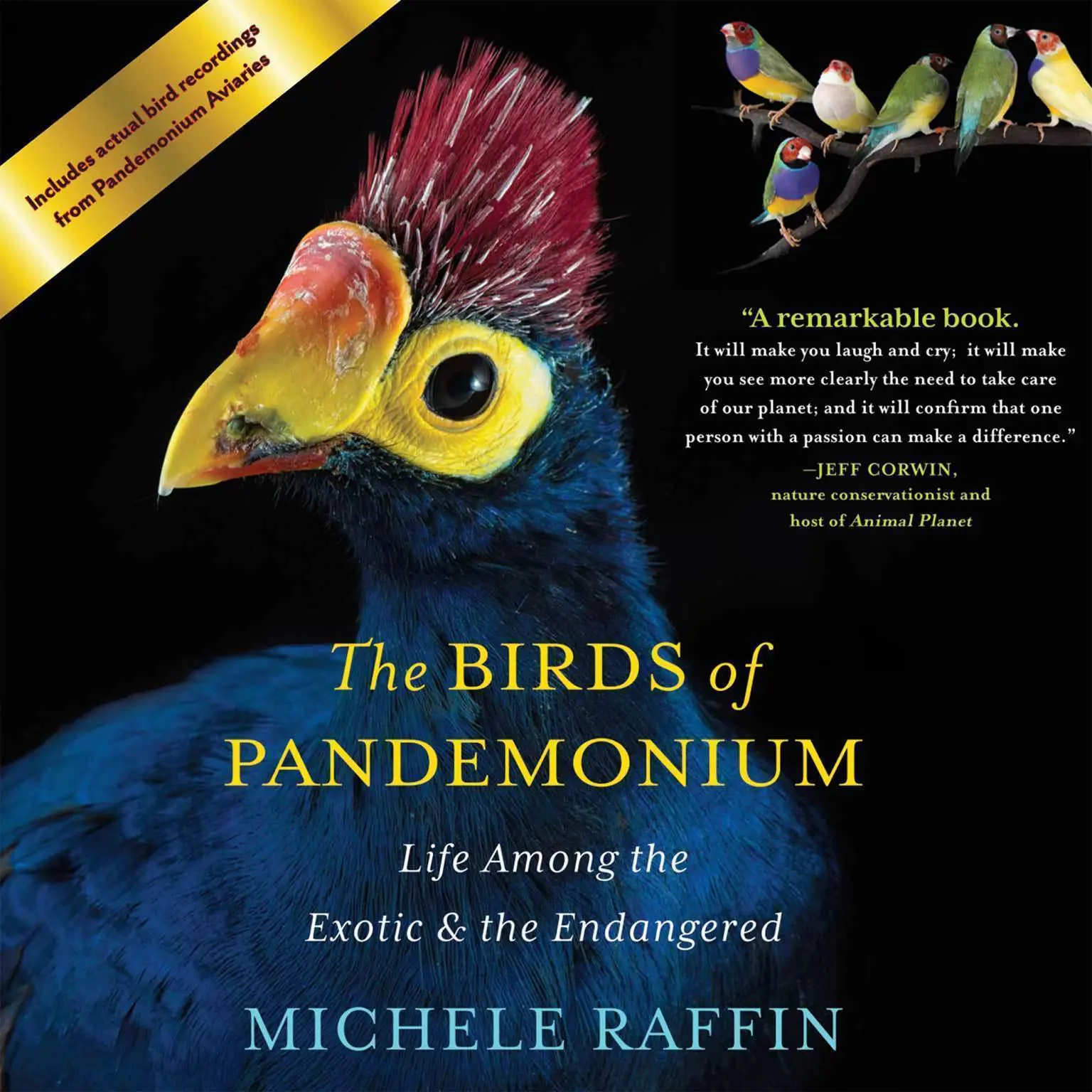 The Birds of Pandemonium: Life Among the Exotic and the Endangered Audiobook, by Michele Raffin