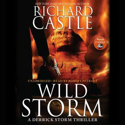 Wild Storm: A Derrick Storm Thriller Audibook, by Richard Castle