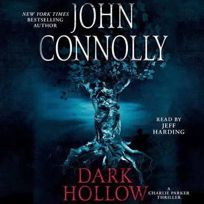 Dark Hollow: A Thriller Audibook, by John Connolly