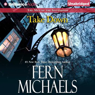 Take Down Audibook, by Fern Michaels