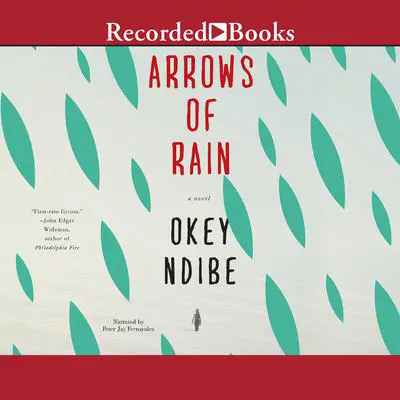 Arrows of Rain: A Novel Audibook, by Okey Ndibe