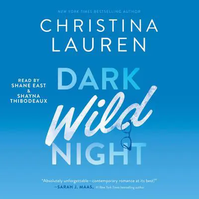 Dark Wild Night Audibook, by Christina Lauren