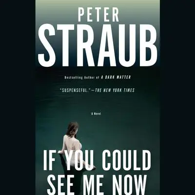If You Could See Me Now Audibook, by Peter Straub