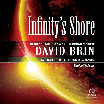 Infinity's Shore Audibook, by David Brin
