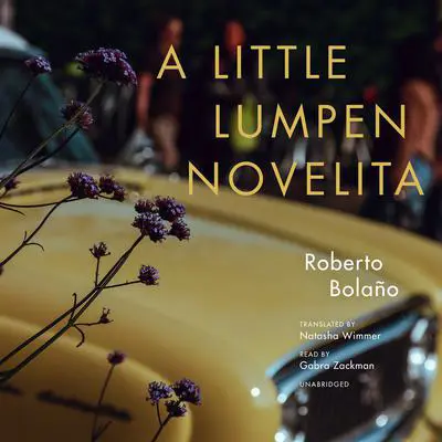 A Little Lumpen Novelita Audibook, by Roberto Bolaño